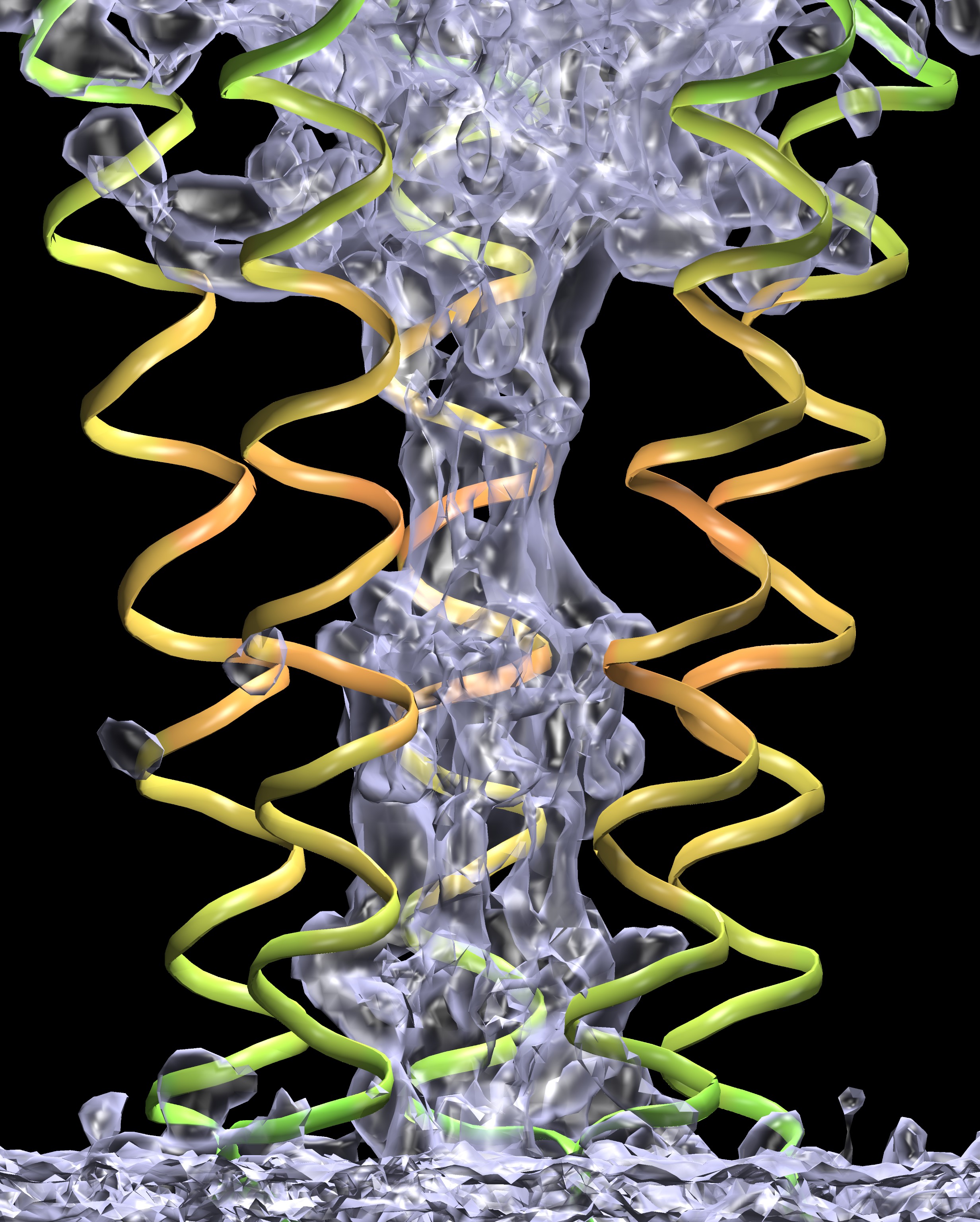 Solvated transmembrane pore of the nAChR ion channel.