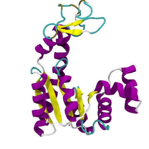 Adenylate Kinase (AdK)