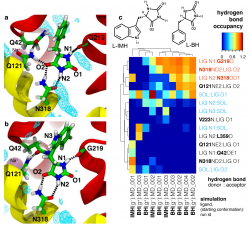 Molecular mechanism of ligand recognition by the Mhp1 transporter