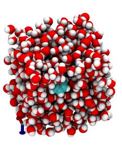 BioXFEL BioVizSim Village: Experiencing Molecules