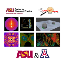 BioPhest 2017 at ASU