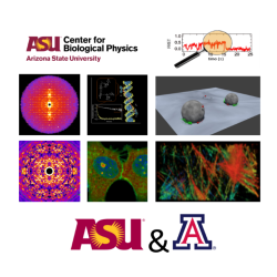 BioPhest 2017 at ASU