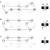 Principles of Transporter Function
