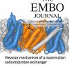 Cover of The EMBO Journal