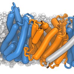 Cryo-electron microscopy and Simulations