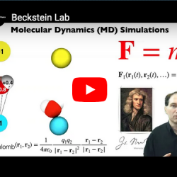 Video introduction to work in the Beckstein Lab
