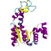 Tutorial: Using VMD for visualizing proteins