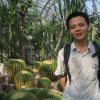 Long Liang