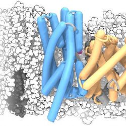 X-ray crystallography and Simulations