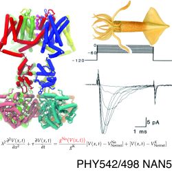 PHY542/NAN542/PHY498 — Topics in Biophysics I