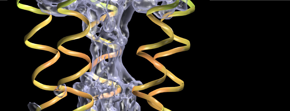 Ion channels