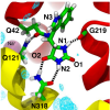 Molecular mechanism of ligand recognition by the Mhp1 transporter