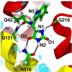 Molecular mechanism of ligand recognition by the Mhp1 transporter