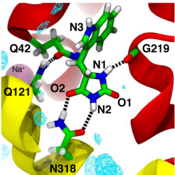 Molecular mechanism of ligand recognition by the Mhp1 transporter