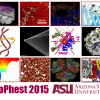BioPhest 2015 at ASU