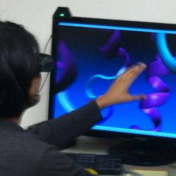 BioXFEL BioVizSim Village: Experiencing Molecules
